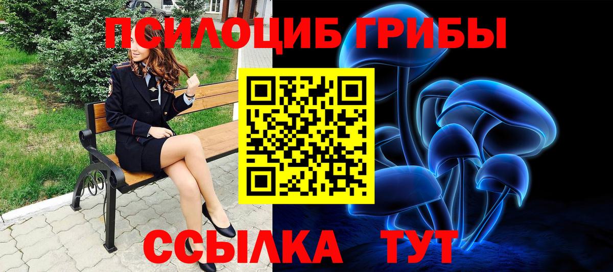 Псилоцибиновые грибы ЛСД Вологда
